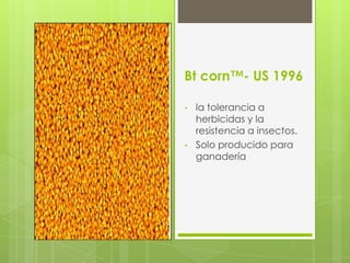 Golden rice®
•   suiza 1999
•   Aumenta la cantidad de
    vitamina A creada por el
    cuerpo
•   Una persona normal
    necesitaría comer 9 kilos
    de Golden rice para
    incrementar su nivel de
    vitamina A al 2x.
 