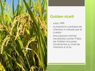 Roundup ready™ soybeans

 resistentes a la herbicida roundup®.
 La empresa vende el herbicida y vende las
  semillas.
 Las consecuencias son que estas pesticidas
  tienen productos químicos fuertes que dañan
  el medio ambiente.
 Por lo tanto algunos expertos creen que los
  granjeros siempre tendrán que aplicar grandes
  cantidades de pesticidas. La empresa controla
  las semillas y las pesticidas que se tienen que
  aplicar.
 