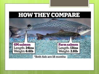 Prohibiciones importantes

 En
   el 2004 el presidente de Venezuela
 Hugo Chaves prohibió el uso de semillas
 GM en su país.

 En
   el 2007 Francia prohibió el uso de el
 maíz Monsanto's MON-810 .
 