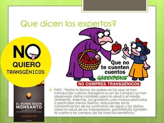 El futuro de los alimentos
transgénicos?
 Se podrían crear alimentos que
  incorporarían vacunas para los humanos?
 Se están haciendo estudios para
  implementar genes que podrían aportar
  el cuerpo con antibióticos contra la rabia
  y el hepatitis B.
 Plantas que producen materias para
  formar plásticos?
 