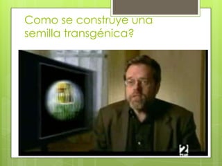Bacteria
immuna al   •Extrae ADN
            •localiza gen

 roundup

                            •Recombinar
            Bacteria         ADN con genes
                             de otra bacteria
              Ecoli          resistente al
                             Roundup




                                                •Pistola de
                            Insertar a           genes
                                                •Corriente
                            la planta            eléctrica
                                                •Otras bacterias
 