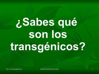 ¿Sabes qué  son los transgénicos? 
