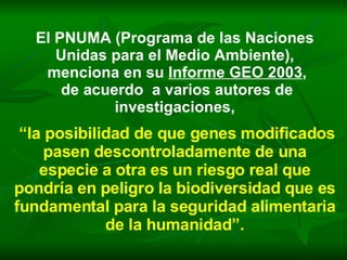 El PNUMA (Programa de las Naciones Unidas para el Medio Ambiente), menciona en su  Informe GEO 2003 , de acuerdo  a varios autores de investigaciones, “ la posibilidad de que genes modificados pasen descontroladamente de una especie a otra es un riesgo real que pondría en peligro la biodiversidad que es fundamental para la seguridad alimentaria de la humanidad”. 