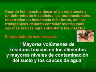 Cuando los insectos desarrollan resistencia a un determinado insecticida, las multinacionales desarrollan un insecticida más fuerte, así los transgénicos deberán contener toxinas cada vez más tóxicas para enfrentar a los insectos. El resultado de este proceso: “ Mayores volúmenes de  residuos tóxicos en los alimentos y mayores niveles de contaminación  del suelo y los cauces de agua” 