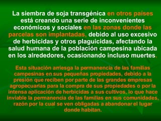 La siembra de soja transgénica  en otros países  está creando una serie de inconvenientes económicos y sociales  en las zonas donde las parcelas son implantadas,  debido al uso excesivo de herbicidas y otros plaguicidas, afectando la salud humana de la población campesina ubicada en los alrededores, ocasionando incluso muertes . Esta situación arriesga la permanencia de las familias campesinas en sus pequeñas propiedades, debido a la presión que reciben por parte de las grandes empresas agropecuarias para la compra de sus propiedades o por la intensa aplicación de herbicidas a sus cultivos, lo que hace inviable la permanencia de las familias en sus comunidades, razón por la cual se ven obligadas a abandonar el lugar donde habitan. 