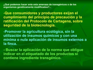 ¿Qué podemos hacer ante esta amenaza de transgénicos o de los organismos genéticamente modificados?... Que consumidores y productores exijan el cumplimiento del principio de precaución y la ratificación del Protocolo de Cartagena, sobre seguridad de la biotecnología. Promover la agricultura ecológica, sin la utilización de insumos químicos y con una mínima o nula aplicación de insumos externos a la finca. - Buscar la aplicación de la norma que obligue indicar en el etiquetado de los productos si contiene ingrediente transgénico. 