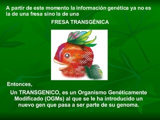 A partir de este momento la información genética ya no es la de una fresa sino la de una  FRESA TRANSGÉNICA Entonces, Un TRANSGENICO, es un Organismo Genéticamente Modificado (OGMs) al que se le ha introducido un nuevo gen que pasa a ser parte de su genoma. 
