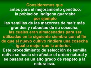 Consideremos que antes para el mejoramiento genético, la población indígena guardaba por ejemplo las semillas de las mazorcas de maíz más grandes y robustas de su cosecha, las cuales eran almacenadas para ser utilizadas en la siguiente siembra con el fin de que el nuevo cultivo rindiera una cosecha igual o mejor que la anterior.   Este procedimiento de selección de semilla nativa se hacía sin afectar el orden natural y se basaba en un alto grado de respeto a la naturaleza. 