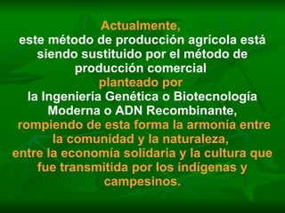Actualmente,   este método de producción agrícola está siendo sustituido por el método de producción comercial   planteado por   la Ingeniería Genética o Biotecnología Moderna o ADN Recombinante, rompiendo de esta forma la armonía entre la comunidad y la naturaleza,  entre la economía solidaria y la cultura que fue transmitida por los indígenas y campesinos. 