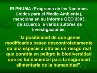 El PNUMA (Programa de las Naciones Unidas para el Medio Ambiente), menciona en su  Informe GEO 2003 , de acuerdo  a varios autores de investigaciones, “ la posibilidad de que genes modificados pasen descontroladamente de una especie a otra es un riesgo real que pondría en peligro la biodiversidad que es fundamental para la seguridad alimentaria de la humanidad”. 