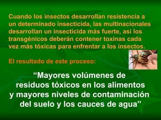 Cuando los insectos desarrollan resistencia a un determinado insecticida, las multinacionales desarrollan un insecticida más fuerte, así los transgénicos deberán contener toxinas cada vez más tóxicas para enfrentar a los insectos. El resultado de este proceso: “ Mayores volúmenes de  residuos tóxicos en los alimentos y mayores niveles de contaminación  del suelo y los cauces de agua” 