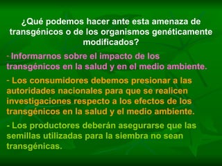 ¿Qué podemos hacer ante esta amenaza de transgénicos o de los organismos genéticamente modificados? Informarnos sobre el impacto de los transgénicos en la salud y en el medio ambiente. Los consumidores debemos presionar a las autoridades nacionales para que se realicen investigaciones respecto a los efectos de los transgénicos en la salud y el medio ambiente. - Los productores deberán asegurarse que las semillas utilizadas para la siembra no sean transgénicas. 