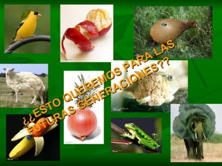 ¿¿ESTO QUEREMOS PARA LAS FUTURAS GENERACIONES?? 