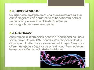  5. DIVERGENICOS:
Un organismo divergénico es una especie mejorada que
contiene genes con características beneficiosas para el
ser humano y el medio ambiente. Pueden ser
microorganismos, animales o plantas.
 6.GENOMAS:
conjunto de la información genética, codificada en una o
varias moléculas de ADN, donde están almacenadas las
claves para la diferenciación de las células que forman los
diferentes tejidos y órganos de un individuo. Por medio de
la reproducción sexuada de los individuos.
 