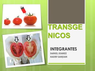 TRANSGE
NICOS
INTEGRANTES
DANIEL SUAREZ
HAURY SANJUAN
 
