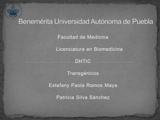 Facultad de Medicina
Licenciatura en Biomedicina
DHTIC
Transgénicos
Estefany Paola Ramos Maya
Patricia Silva Sánchez
 