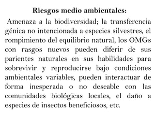 Riesgos medio ambientales:     Amenaza a la biodiversidad; la transferencia génica no intencionada a especies silvestres, el rompimiento del equilibrio natural, los OMGs con rasgos nuevos pueden diferir de sus parientes naturales en sus habilidades para sobrevivir y reproducirse bajo condiciones ambientales variables, pueden interactuar de forma inesperada o no deseable con las comunidades biológicas locales, el daño a especies de insectos beneficiosos, etc.