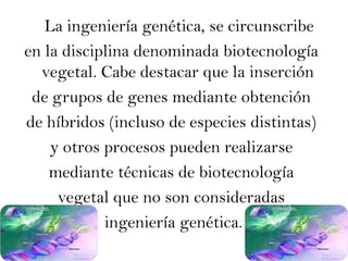La ingeniería genética, se circunscribe en la disciplina denominada biotecnología vegetal. Cabe destacar que la inserción de grupos de genes mediante obtención de híbridos (incluso de especies distintas) y otros procesos pueden realizarse mediante técnicas de biotecnología vegetal que no son consideradasingeniería genética.
