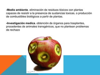 -Medio ambiente. eliminación de residuos tóxicos con plantas
capaces de resistir a la presencia de sustancias toxicas, o producción
de combustibles biológicos a partir de plantas.

-Investigación medica. obtención de órganos para trasplantes,
procedentes de animales transgénicos, que no plantean problemas
de rechazo
 