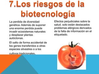 La perdida de diversidad          Efectos perjudiciales sobre la
genética. Además de suponer       salud. solo están destacados
una enorme perdida puede          problemas alérgicos derivados
invadir ecosistemas naturales     de la falta de información en el
y desplazar plantas               etiquetado.
autóctonas.
El salto de forma accidental de
los genes transferidos a otras
especies silvestres o a los
cultivos tradicionales.
 
