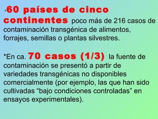  
 *60 países de cinco
continentes poco más de 216 casos de 
contaminación transgénica de alimentos, 
forrajes, semillas o plantas silvestres.
*En ca. 70 casos (1/3) la fuente de 
contaminación se presentó a partir de 
variedades transgénicas no disponibles 
comercialmente (por ejemplo, las que han sido 
cultivadas “bajo condiciones controladas” en 
ensayos experimentales).
 