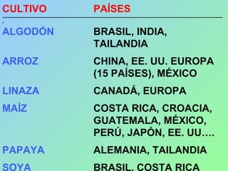 CULTIVO PAÍSES
-----------------------------------------------------------------------------------------------------------------------------------------------------
-
ALGODÓN BRASIL, INDIA,
TAILANDIA
ARROZ CHINA, EE. UU. EUROPA
(15 PAÍSES), MÉXICO
LINAZA CANADÁ, EUROPA
MAÍZ COSTA RICA, CROACIA,
GUATEMALA, MÉXICO,
PERÚ, JAPÓN, EE. UU….
PAPAYA ALEMANIA, TAILANDIA
SOYA BRASIL, COSTA RICA
 