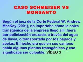 CASO SCHMEISER VS
MONSANTO
Según el juez de la Corte Federal W. Andrew
MacKay (2001), no importaba cómo la colza
transgénica de la empresa llegó allí, fuera
por polinización cruzada, a través del agua
de lluvia, o transportada por los pájaros y
abejas. El hecho era que en sus campos
había algunas plantas transgénicas y eso
significaba ser culpable. VÍDEO 3
 
