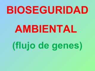 BIOSEGURIDAD
AMBIENTAL
(flujo de genes)
 