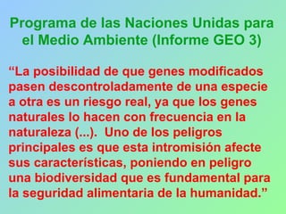 Programa de las Naciones Unidas para
el Medio Ambiente (Informe GEO 3)
“La posibilidad de que genes modificados
pasen descontroladamente de una especie
a otra es un riesgo real, ya que los genes
naturales lo hacen con frecuencia en la
naturaleza (...). Uno de los peligros
principales es que esta intromisión afecte
sus características, poniendo en peligro
una biodiversidad que es fundamental para
la seguridad alimentaria de la humanidad.”
 