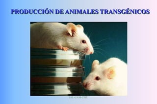 JAL-UAM-CSIC
PRODUCCIÓN DE ANIMALES TRANSGÉNICOS
 