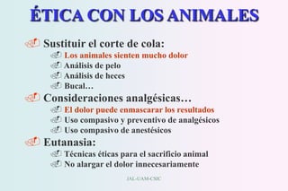 JAL-UAM-CSIC
ÉTICA CON LOS ANIMALES
 Sustituir el corte de cola:
 Los animales sienten mucho dolor
 Análisis de pelo
 Análisis de heces
 Bucal…
 Consideraciones analgésicas…
 El dolor puede enmascarar los resultados
 Uso compasivo y preventivo de analgésicos
 Uso compasivo de anestésicos
 Eutanasia:
 Técnicas éticas para el sacrificio animal
 No alargar el dolor innecesariamente
 