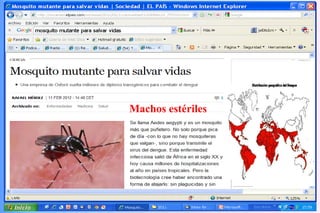 JAL-UAM-CSIC
Machos estériles
 