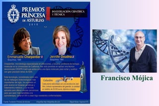 JAL-UAM-CSIC
Francisco Mójica
 