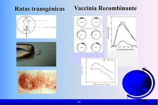 Jal
Ratas transgénicas Vaccinia Recombinante
 
