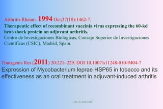 JAL-UAM-CSIC
Arthritis Rheum. 1994 Oct;37(10):1462-7.
Therapeutic effect of recombinant vaccinia virus expressing the 60-kd
heat-shock protein on adjuvant arthritis.
Centro de Investigaciones Biológicas, Consejo Superior de Investigaciones
Científicas (CSIC), Madrid, Spain.
Transgenic Res (2011) 20:221–229. DOI 10.1007/s11248-010-9404-7
Expression of Mycobacterium leprae HSP65 in tobacco and its
effectiveness as an oral treatment in adjuvant-induced arthritis
 