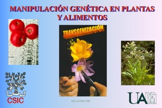 JAL-UAM-CSIC
MANIPULACIÓN GENÉTICA EN PLANTAS
Y ALIMENTOS
 