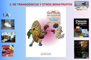 2. DE TRANSGÉNICOS Y OTROS MONSTRUITOS
 