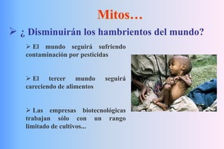 Mitos…
 ¿ Disminuirán los hambrientos del mundo?
 El mundo seguirá sufriendo
contaminación por pesticidas
 El tercer mundo seguirá
careciendo de alimentos
 Las empresas biotecnológicas
trabajan sólo con un rango
limitado de cultivos...
 