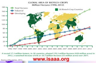 www.isaaa.org
 