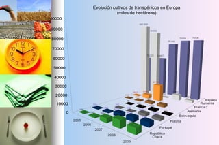 Evolución cultivos de transgénicos en Europa
(miles de hectáreas)
 