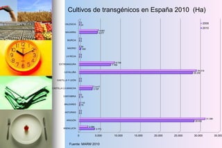 Cultivos de transgénicos en España 2010 (Ha)
0 5.000 10.000 15.000 20.000 25.000 30.000 35.000
ANDALUCÍA
ARAGÓN
ASTURIAS
BALEARES
CANTABRIA
CASTILLA LA MANCHA
CASTILLA Y LEÓN
CATALUÑA
EXTREMADURA
LA RIOJA
MADRID
MURCIA
NAVARRA
VALENCIA
3.773
28.652
0
75
15
3.187
0
28.258
7.769
5
340
0
4.477
23
2.084
31.396
0
110
0
3.417
0
29.218
8.730
8
50
0
4.691
0 2009
2010
Fuente: MARM 2010
 