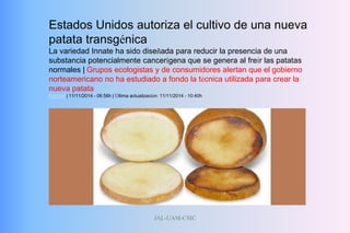 JAL-UAM-CSIC
Estados Unidos autoriza el cultivo de una nueva
patata transgénica
La variedad Innate ha sido diseñada para reducir la presencia de una
substancia potencialmente cancerígena que se genera al freír las patatas
normales | Grupos ecologistas y de consumidores alertan que el gobierno
norteamericano no ha estudiado a fondo la técnica utilizada para crear la
nueva patata
Natural | 11/11/2014 - 06:56h | Última actualización: 11/11/2014 - 10:40h
 