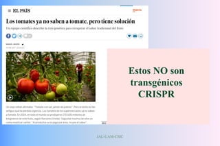 JAL-UAM-CSIC
Estos NO son
transgénicos
CRISPR
 