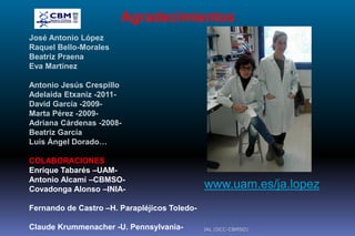José Antonio López
Raquel Bello-Morales
Beatriz Praena
Eva Martínez
Antonio Jesús Crespillo
Adelaida Etxaniz -2011-
David García -2009-
Marta Pérez -2009-
Adriana Cárdenas -2008-
Beatriz García
Luis Ángel Dorado…
COLABORACIONES
Enrique Tabarés –UAM-
Antonio Alcamí –CBMSO-
Covadonga Alonso –INIA-
Fernando de Castro –H. Parapléjicos Toledo-
Claude Krummenacher -U. Pennsylvania-
Agradecimientos
www.uam.es/ja.lopez
JAL (DCC-CBMSO)
 