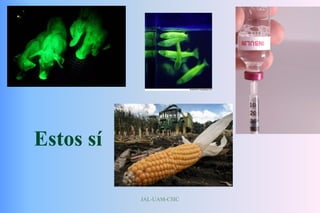 JAL-UAM-CSIC
Estos sí
 