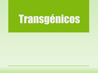 Transgénicos
 
