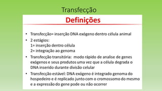 Transfecção
 