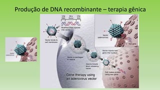 Produção de DNA recombinante – terapia gênica
 