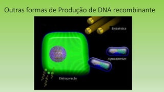 Outras formas de Produção de DNA recombinante
 