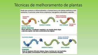 Técnicas de melhoramento de plantas
 